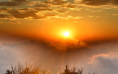 Tomorrow Is a New Day